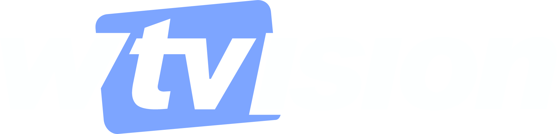 logo_wtvision3.png